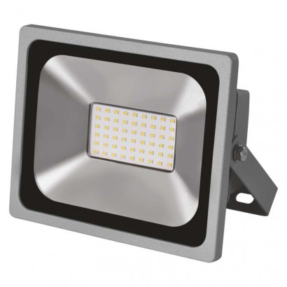 LED reflektor PROFI 30W NW