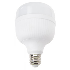 Industrijska LED žarnica s čipom SAMSUNG 220-240 V, 50 Hz, 30 W, 4000 K, 2500 lm, E27, EEI=F