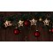 Božična LED veriga, zvezda, jelen, lesena, na baterije Timer 6+18h, 10LED, 3000K, 2xAA