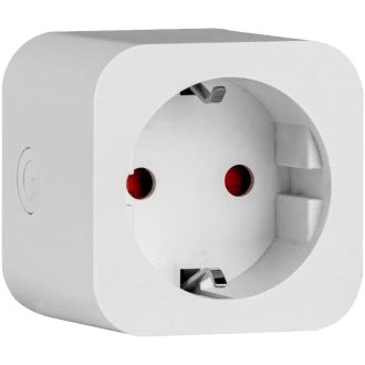 Pameten priključni adapter 1xSCHUKO, 240VAC, 16A, TNSM1